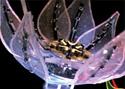 Robotic Flower